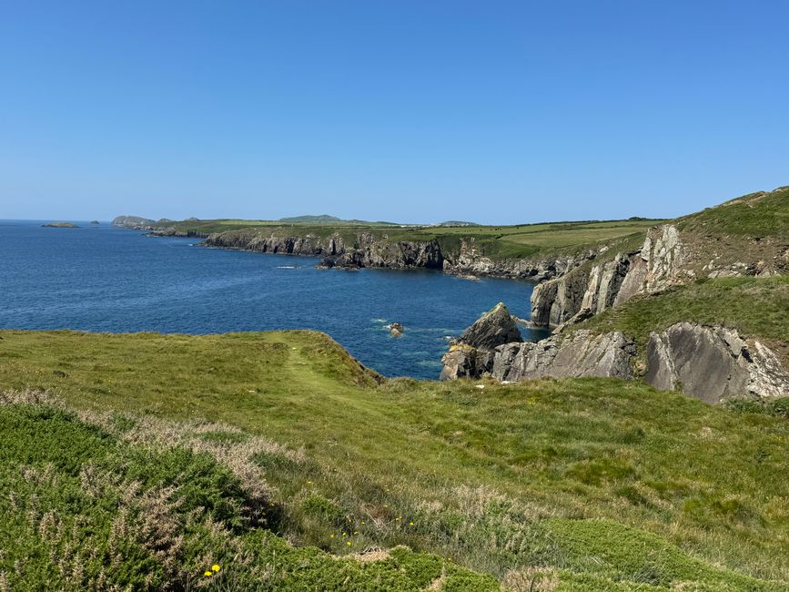 Falaises de la côte de St Davids face à l'Atlantique