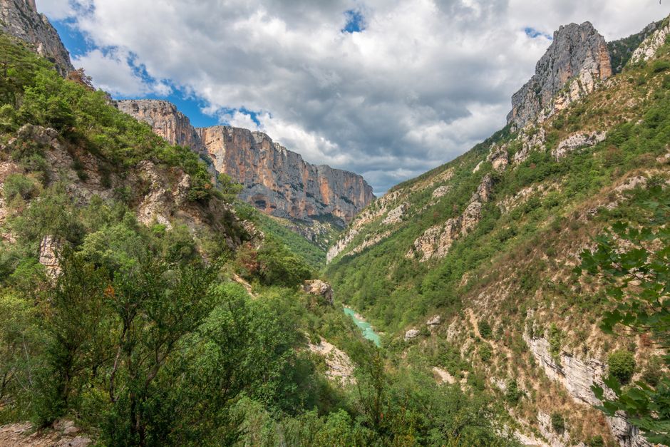 Falaises et végétation des gorges du Verdon en Provence