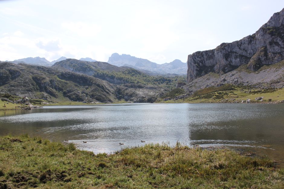 Lac de montagne entouré de collines verdoyantes dans les Asturies