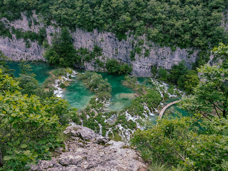 Lacs émeraude et végétation du parc national de Plitvice
