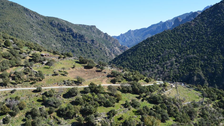 Montagnes et vallée verdoyante d'Asco au cœur de la Corse