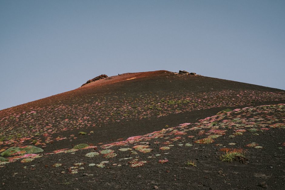 Terrain volcanique de l'Etna et sa terre rouge